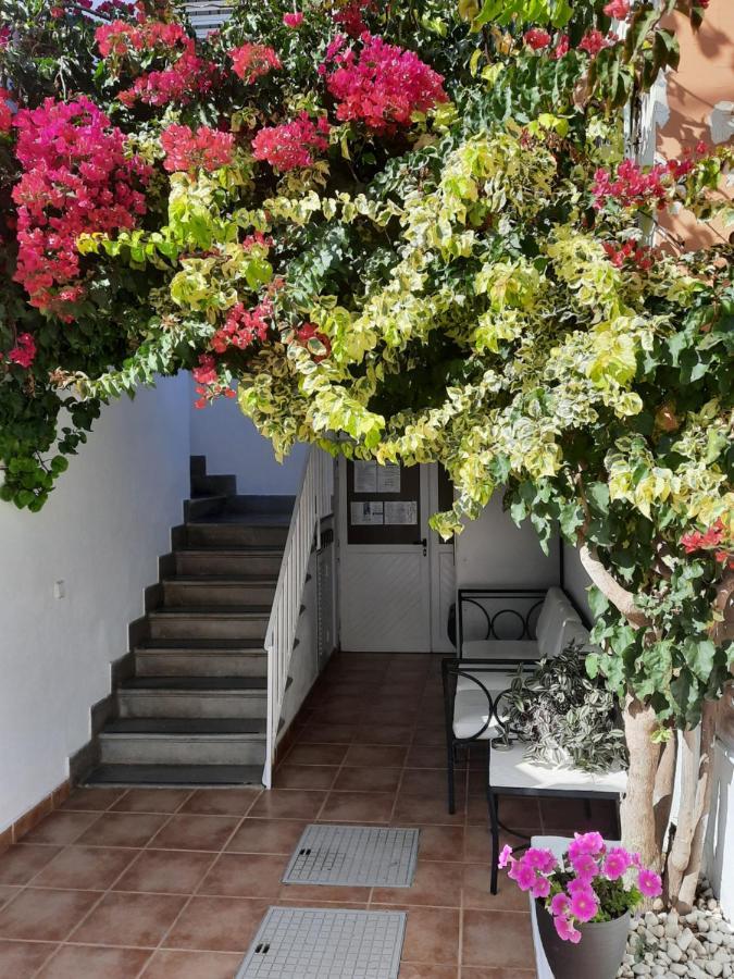Hostal Costa İbiza Kenti Dış mekan fotoğraf