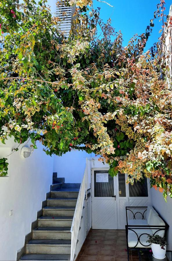 Hostal Costa İbiza Kenti Dış mekan fotoğraf